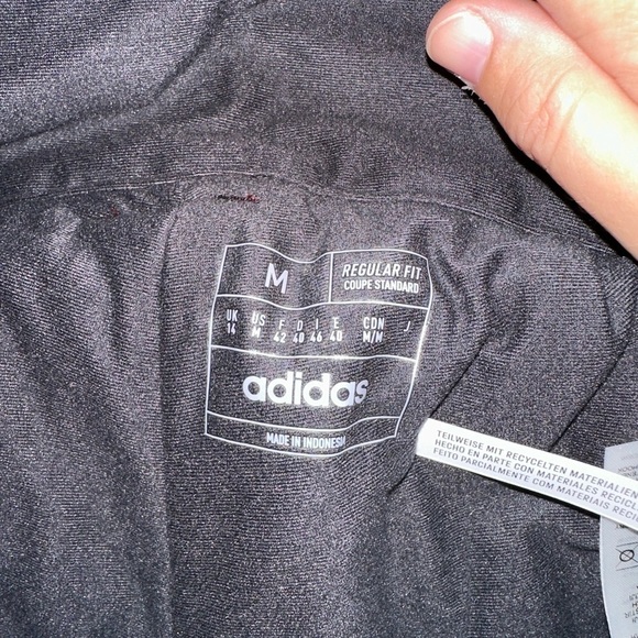 Adidas Terrex Alpine Skiing insulated pants NWT - Picture 4 of 6